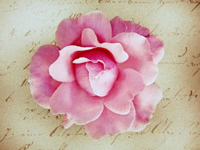 Occhi d�amore
