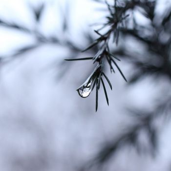 Pensiero di pioggia
