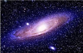 L'universo in fiore