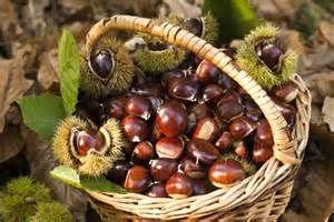 Profumi d'autunno