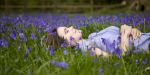 Sogni d�autunno