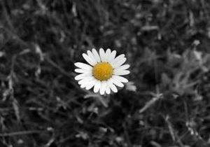 La mia solitudine