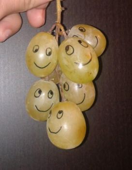 Gli acini d’uva