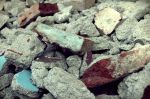 Cadde una lacrima dopo il terremoto