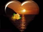 Una carezza al cuore  