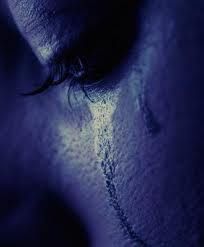 L�emozione di te