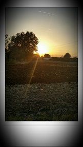 Al sole