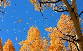 Autunno