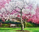 Soffio di Primavera