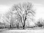 Memorie d�Inverno