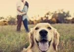 �Amico a quattro zampe�