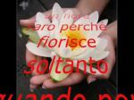 �L�amicizia� valore immenso