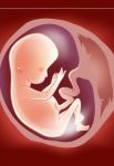 Nascita di un�identit�
