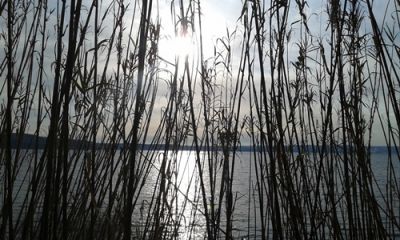 Il sole di marzo