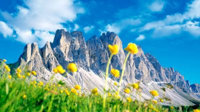 In cima al monte