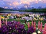 E arrivata Primavera
