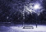 Notte gelida
