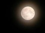 Luna perché piangi?