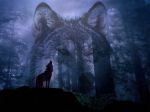 Anima di Lupo