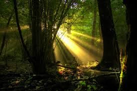 Mormorio... Felice
