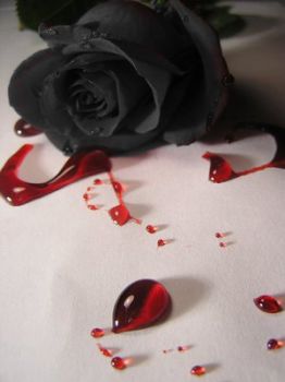Senza Amore