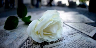 Ti doner� un fiore