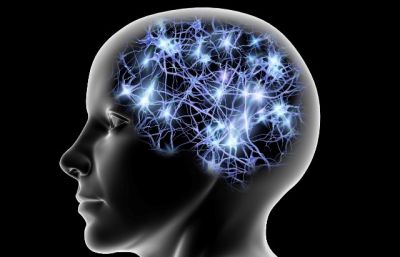 L�intelligente