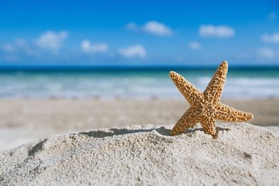 � cos� bello il mare di settembre