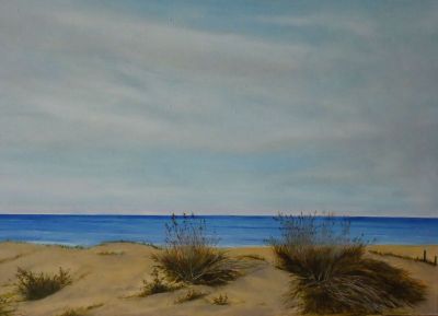 Dune mosse
