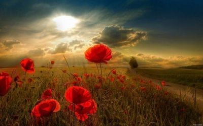 Tra il silenzio e il tuono