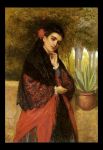 Essenza elima