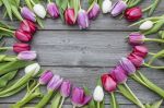 Mille parole come rose