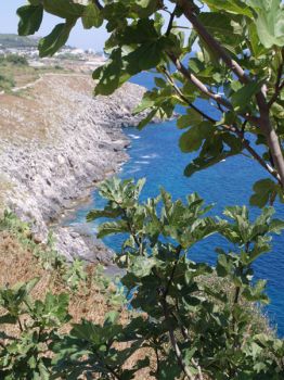 Antiche memorie