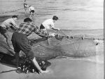 Pastori e Pescatori