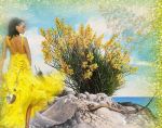 Perla di sole