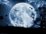 Malanotte