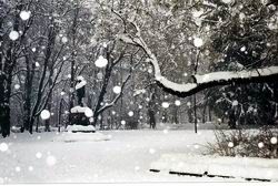 Neve