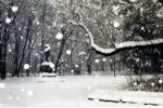 Neve