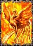 Un uccello di fuoco