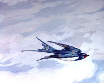 Volo