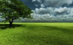 Canto del vento sulla prateria dell� Amore