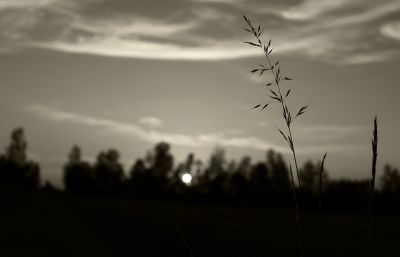 Nell�aria