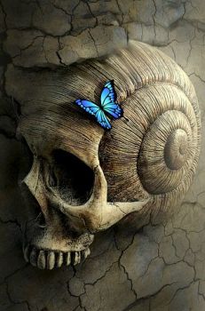 Ombre nell’anima