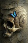 Ombre nell’anima