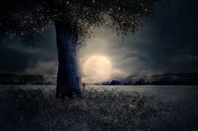 Come le stelle