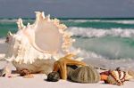 Spiaggia