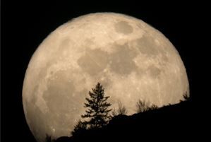 Notti Lunari