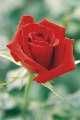 Un altro... amore