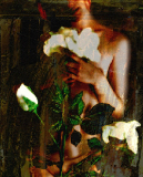 Per rendere la rosa