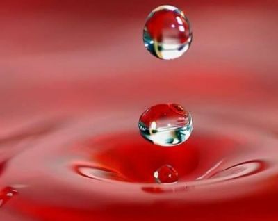 L�arte dell�amore